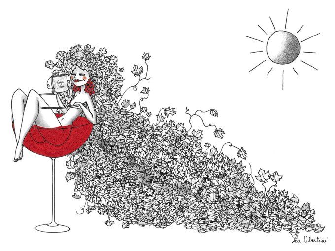 La vigne charmante 3