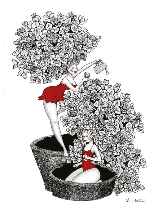 Les hortensias, l'été